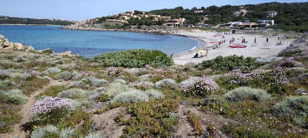 Casa Giagoni Bed & Breakfast Santa Teresa Gallura Exterior photo
