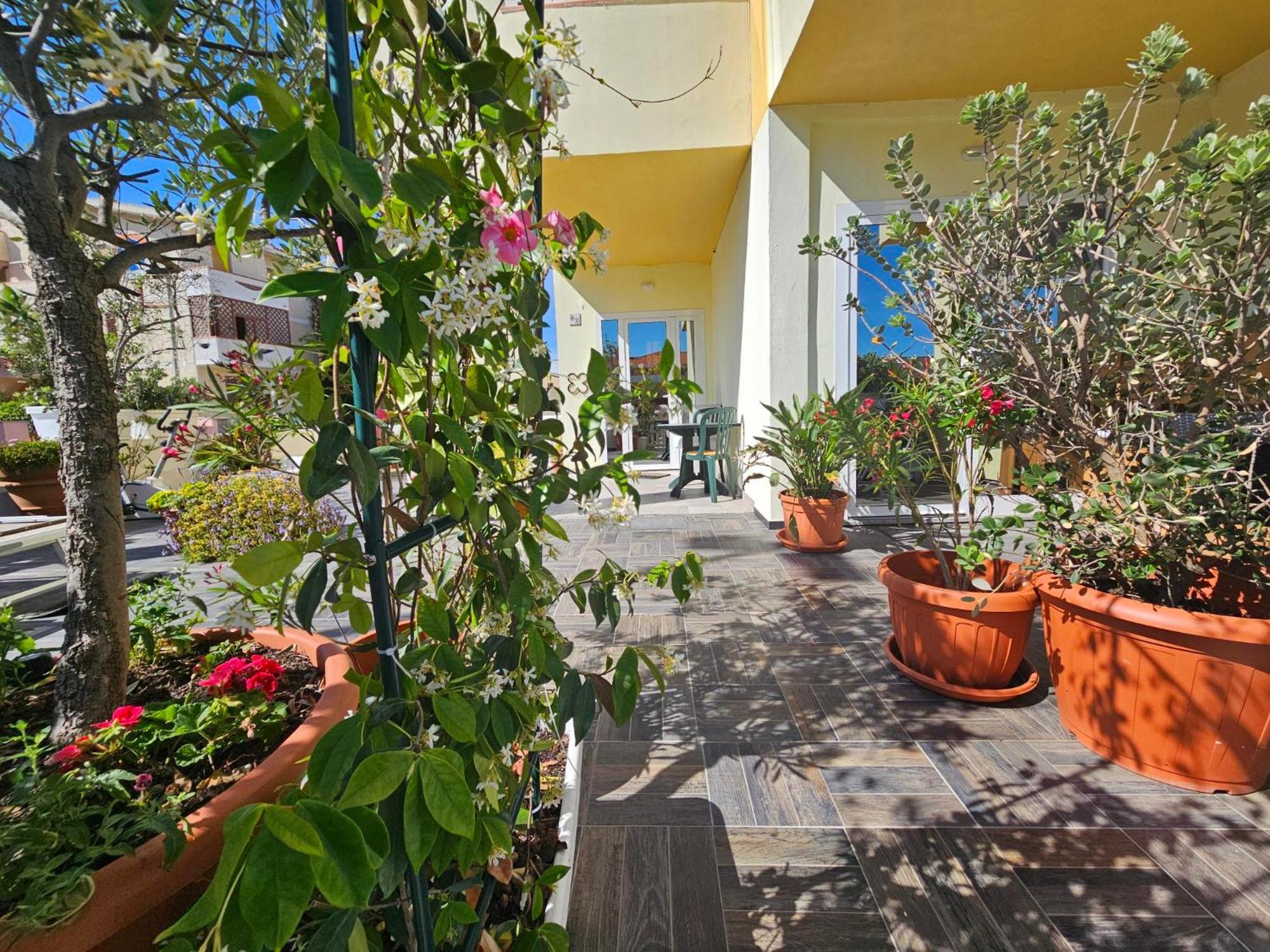 Casa Giagoni Bed & Breakfast Santa Teresa Gallura Exterior photo